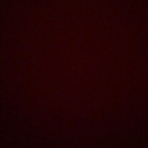 Meet your Posher, Allisyn